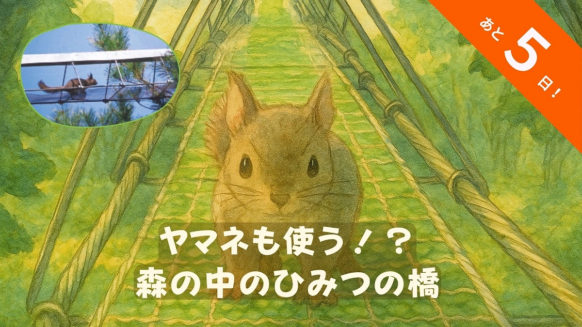 🌳命をつなぐ道、未来へ──アニマルパスウェイの挑戦