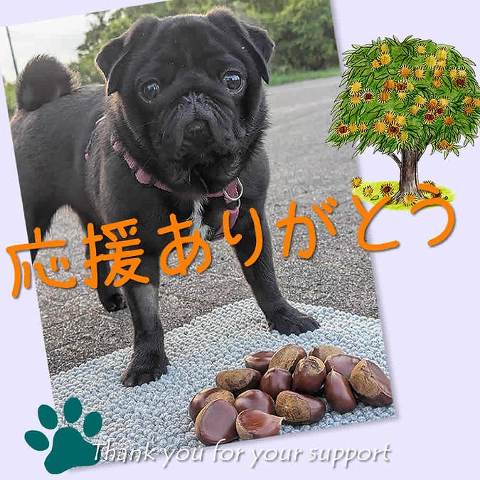 手術日が決まりました