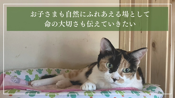 ととの森｜猫と人が出会い、温かいご縁を繋ぐ「はじまりの場」の開設へ 5枚目