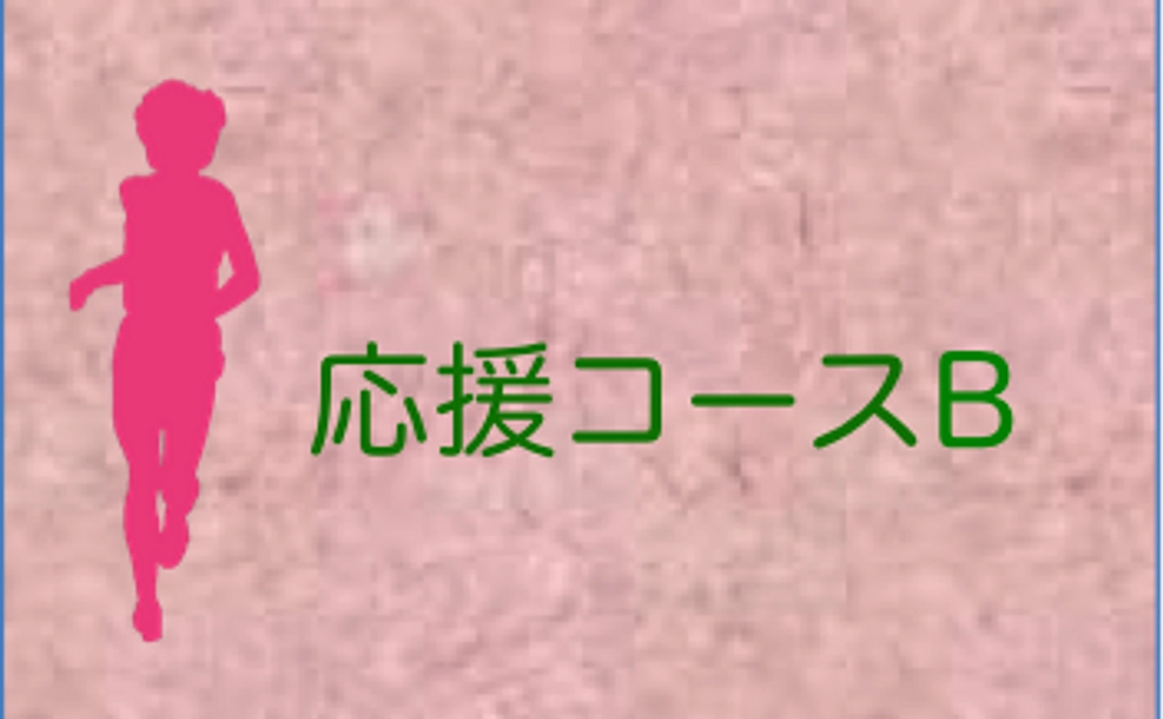応援コースB
