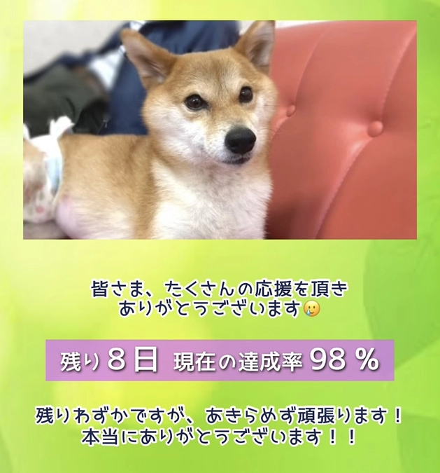 98%まできました！🥹【あと8日】