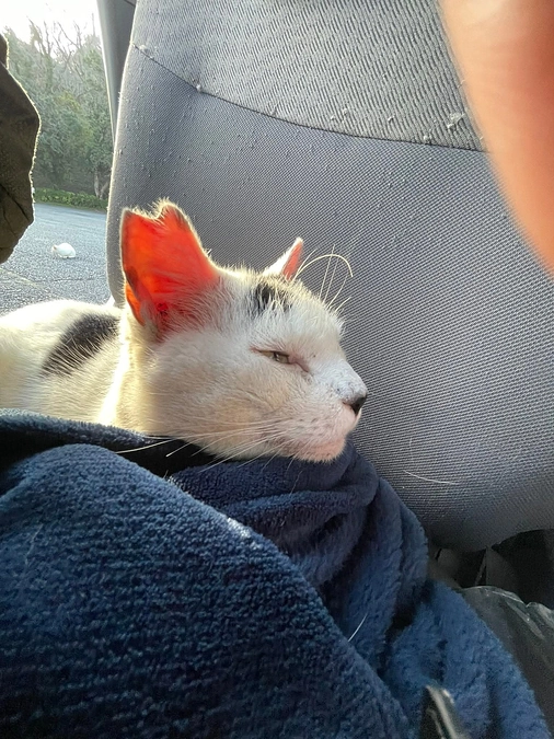 マメ君が天国に行きました😭