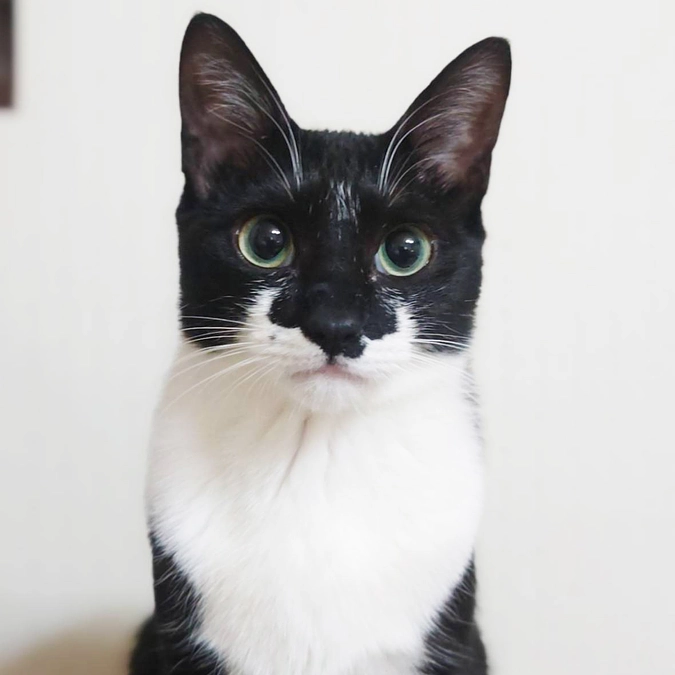 ダン　難病のハンデがあっても逞しく