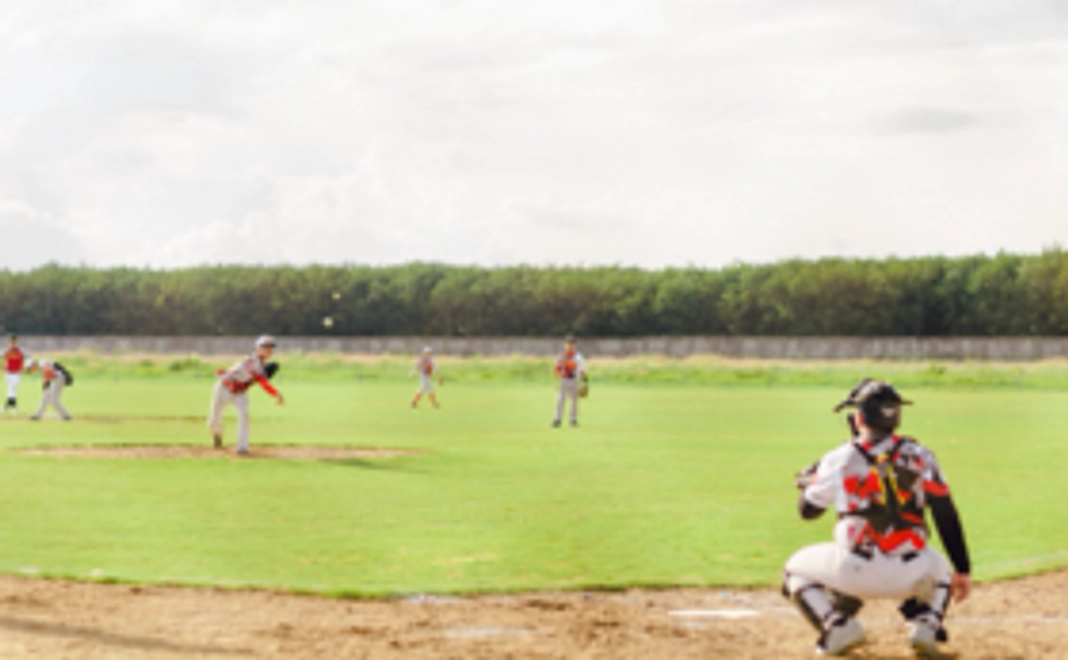 【ベトナム野球応援コース】