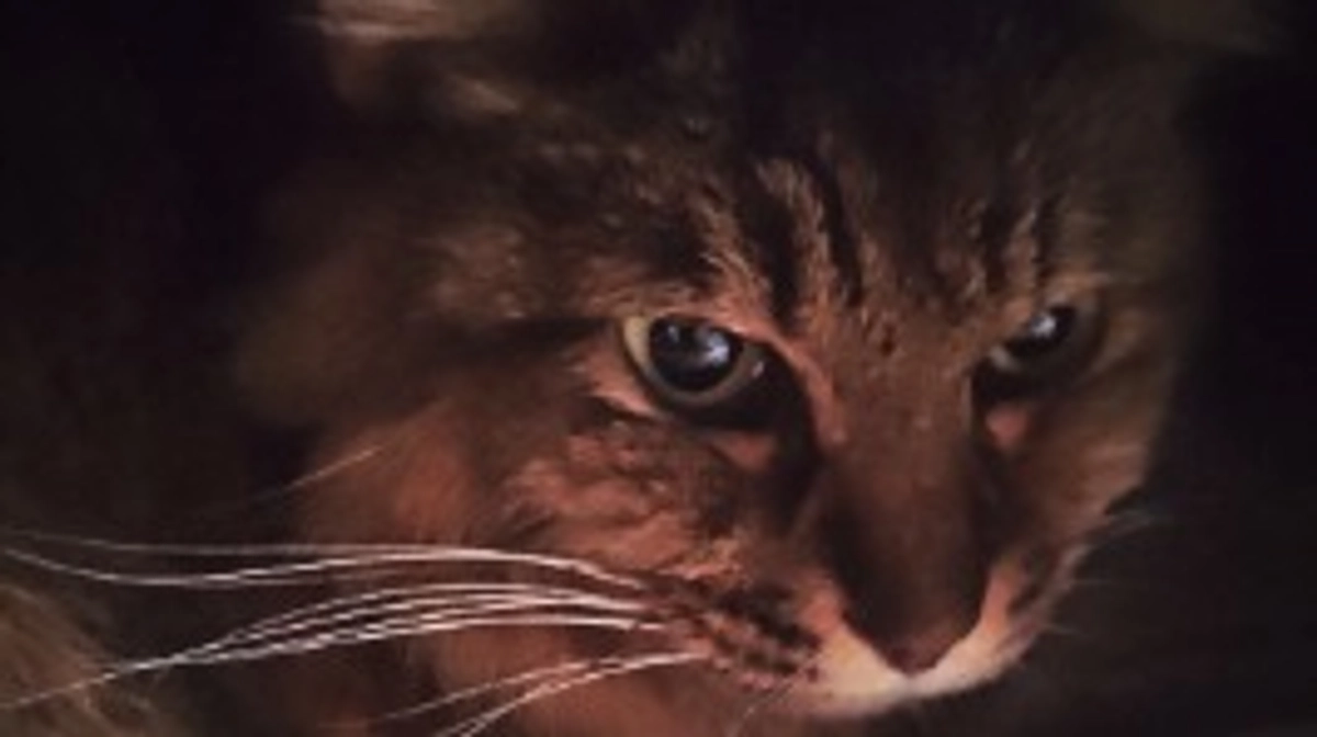 ご無沙汰いたしております。エリの近況報告いたします。