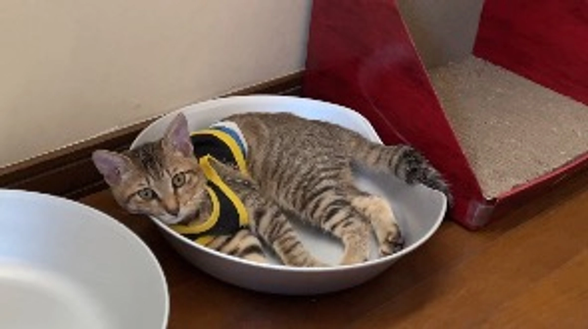 9/30(土)術後12回目の診察