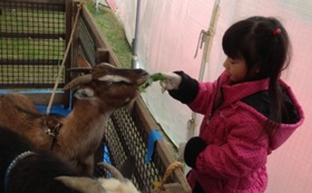 【御越しになれる方向け】動物達へのエサやりを体験できます！