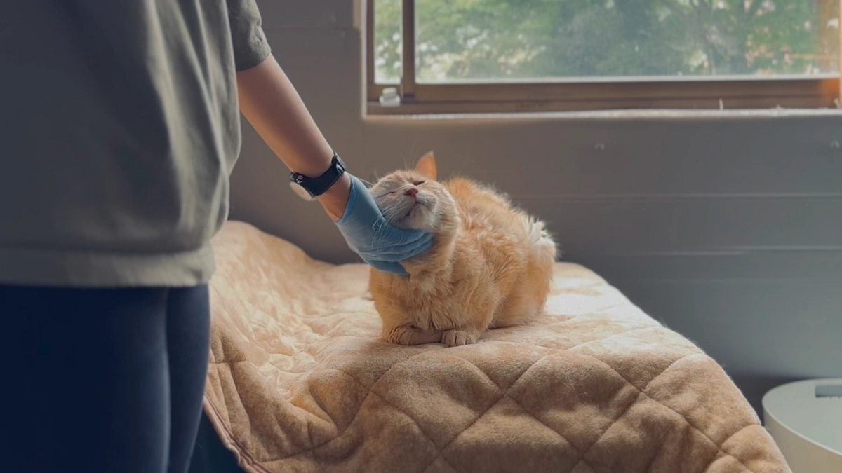 公開日を迎えて