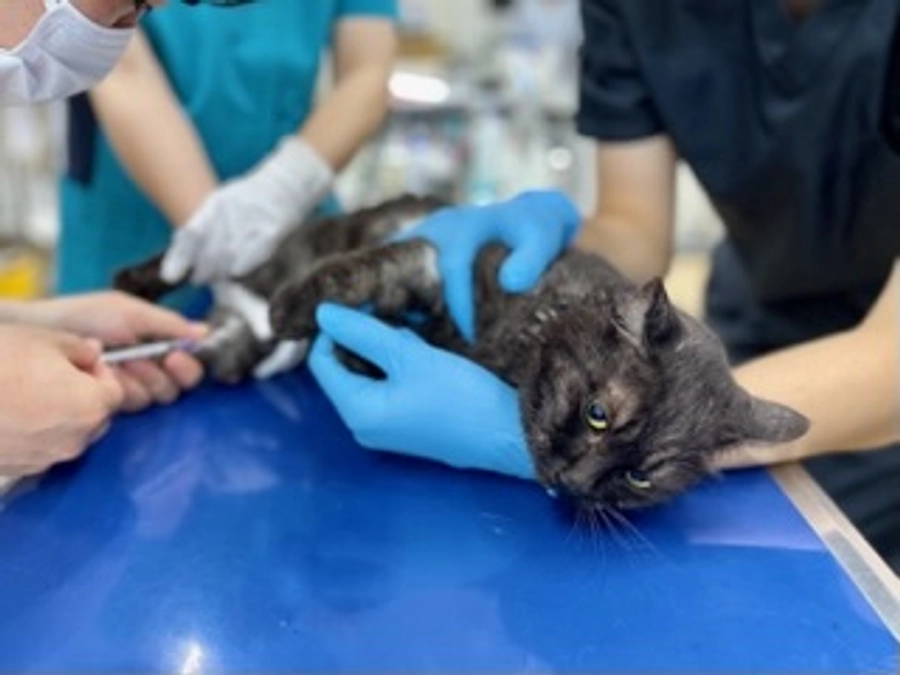 ネクストゴールまで28万円‼️