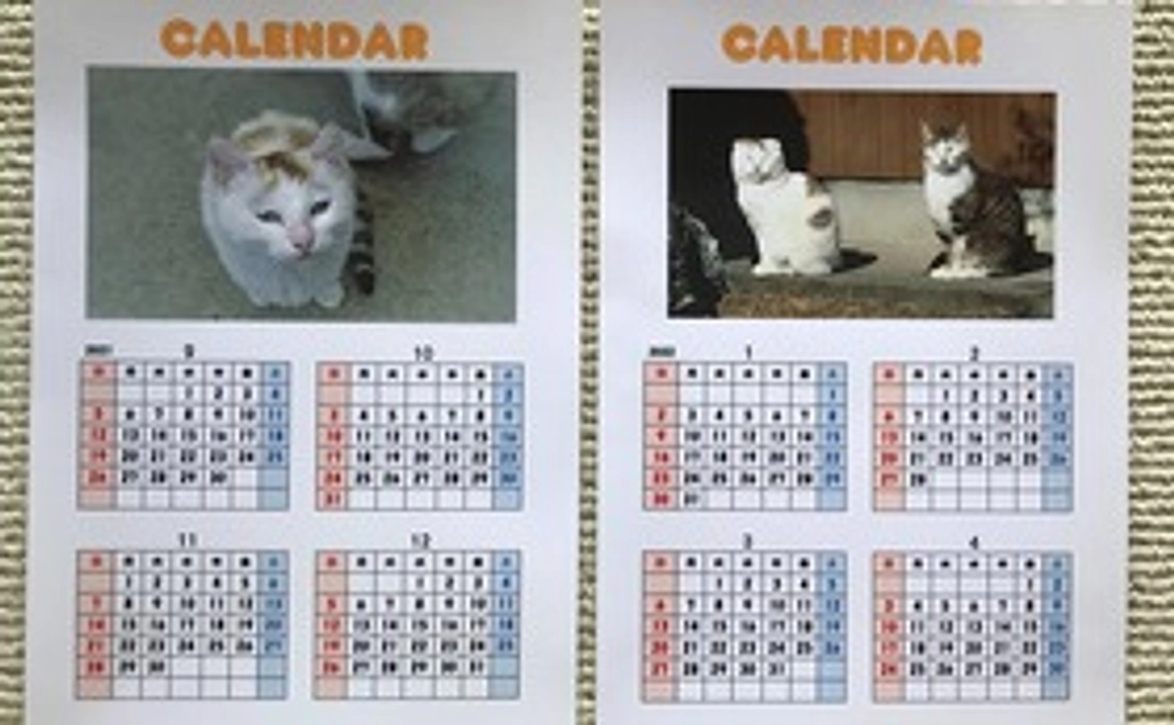 感謝のメッセージと猫ちゃんカレンダー３枚、緊急用名札