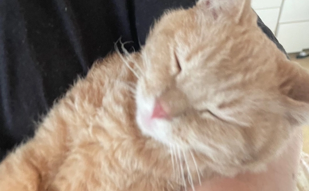 感謝のメール【12】