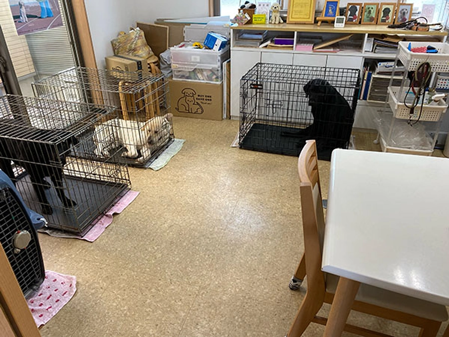 改装工事が始まりました！