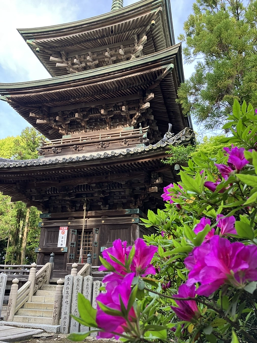 本堂改修工事が始まりました。