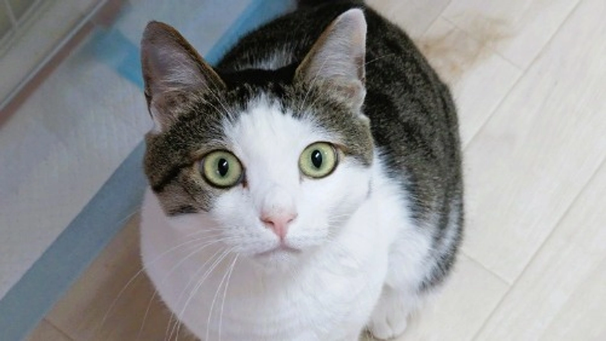 マンスリーサポーターにご協力ありがとうございます