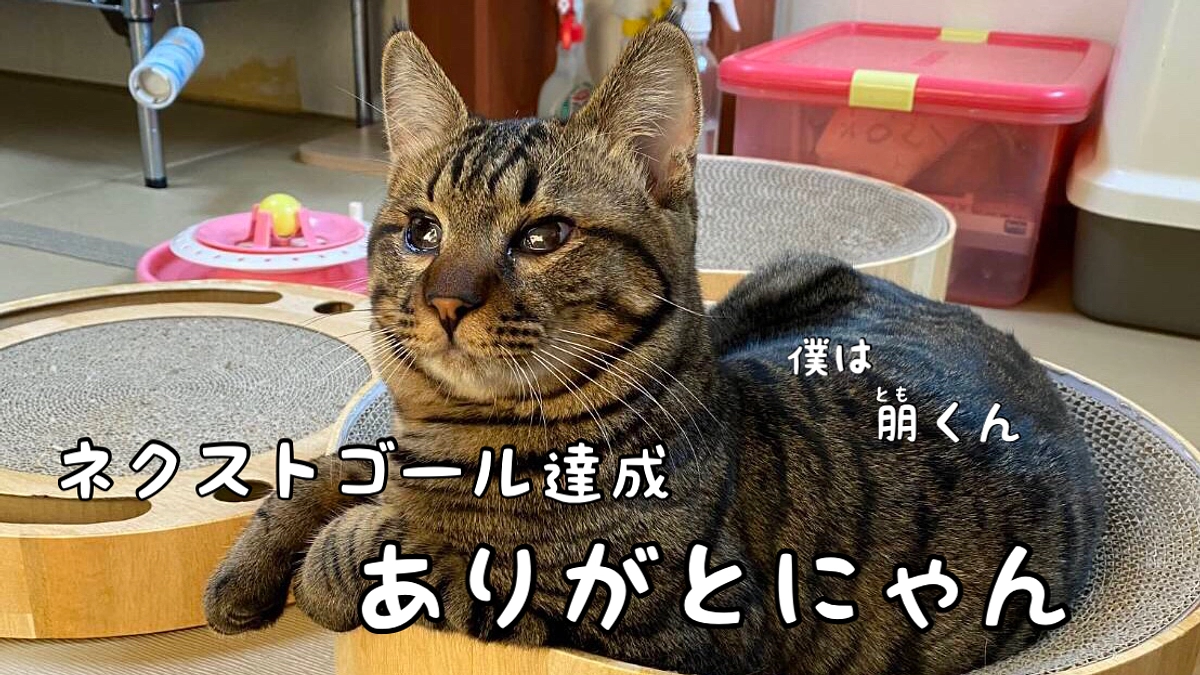 ネクストゴール達成ありがとうございます