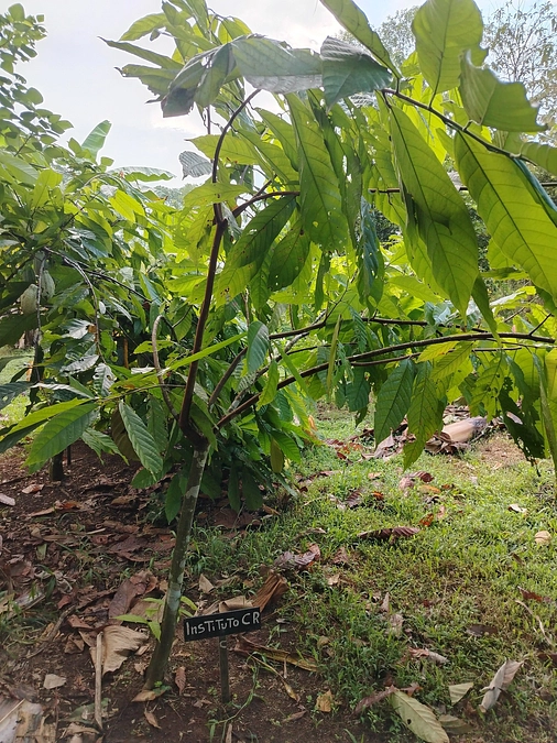 【ご報告】現在の進捗について