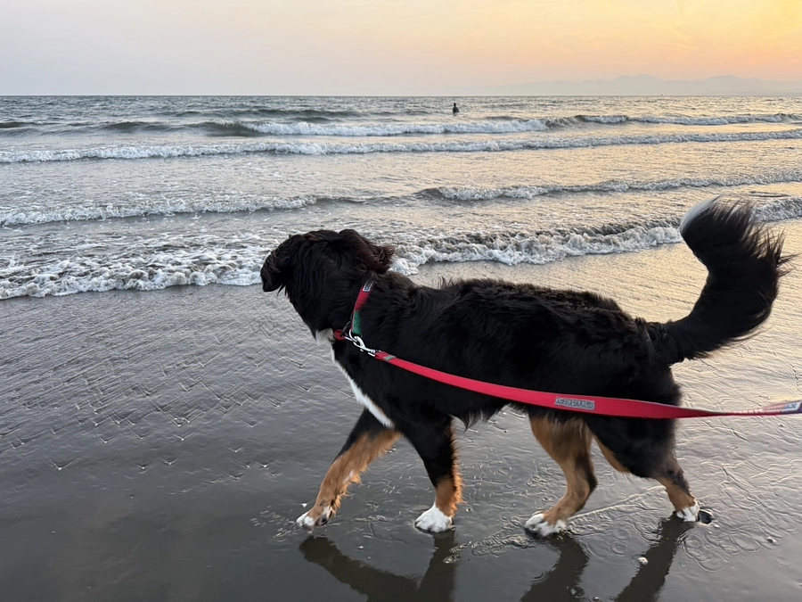 下痢が再発していましたが、治りました😅