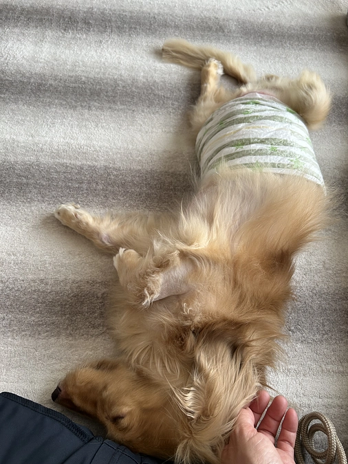 一難去ってまた一難…二難…