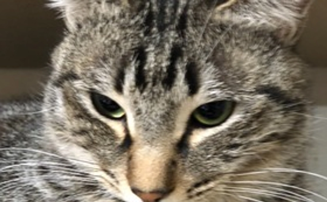 感謝のメール送ります！！