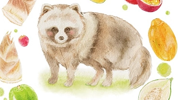 森のいのちを無駄にしない仕組みづくりへ！ジビエ活用のため施設を建設 のトップ画像