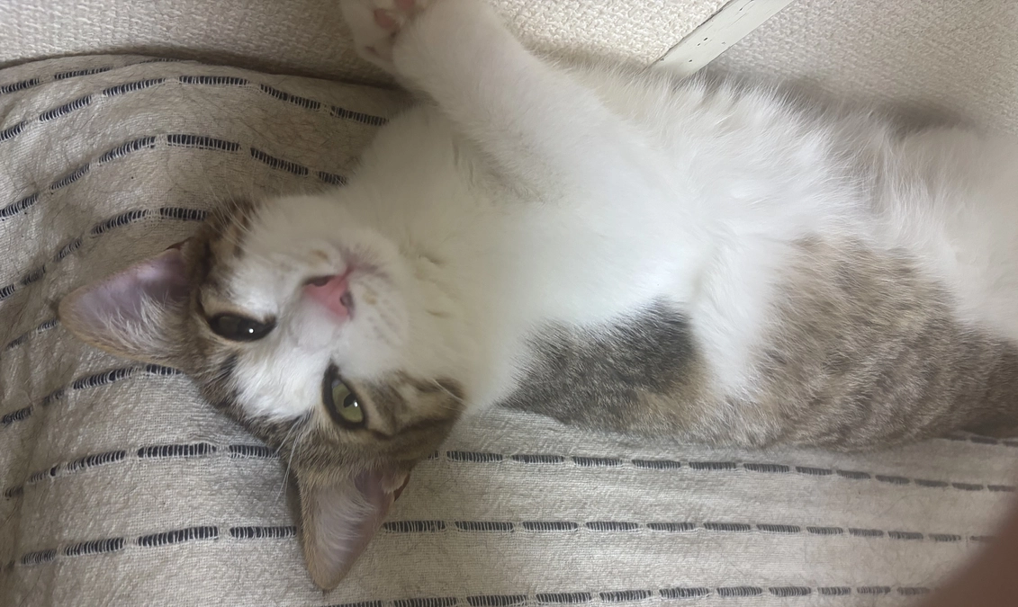 これまでご支援いただきありがとうございました。