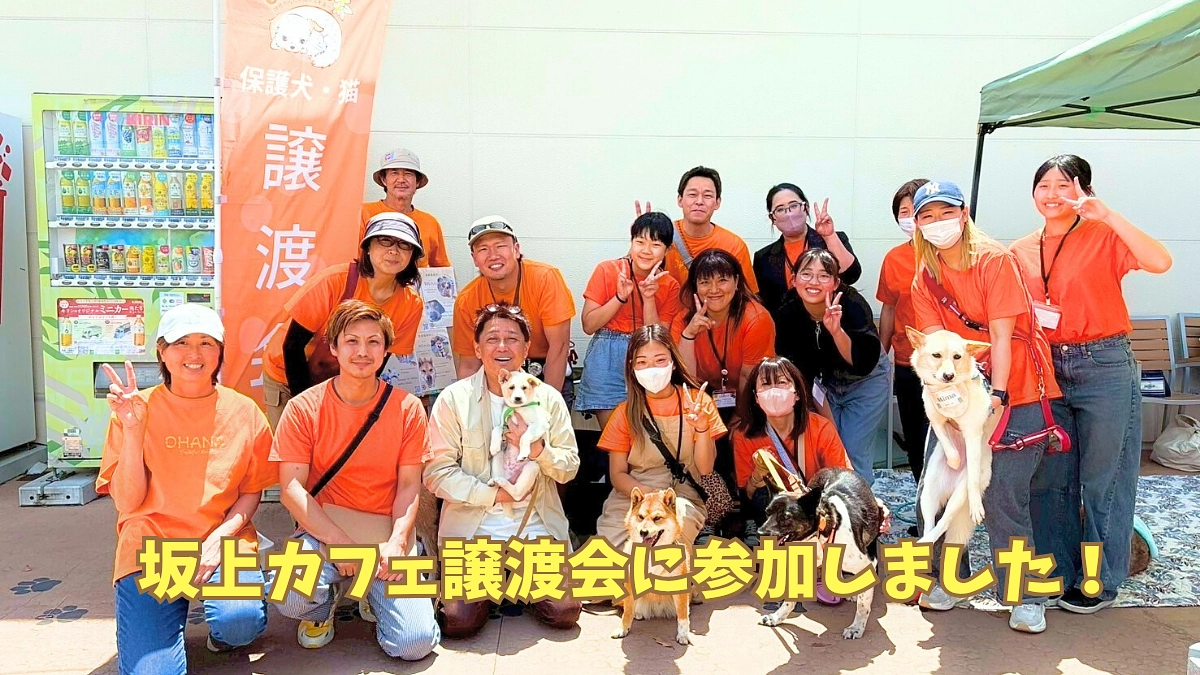 坂上カフェ譲渡会に参加しました！