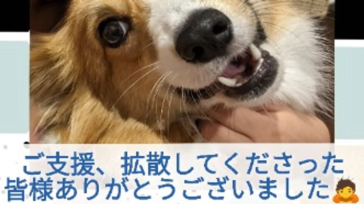 クラファン終了しました