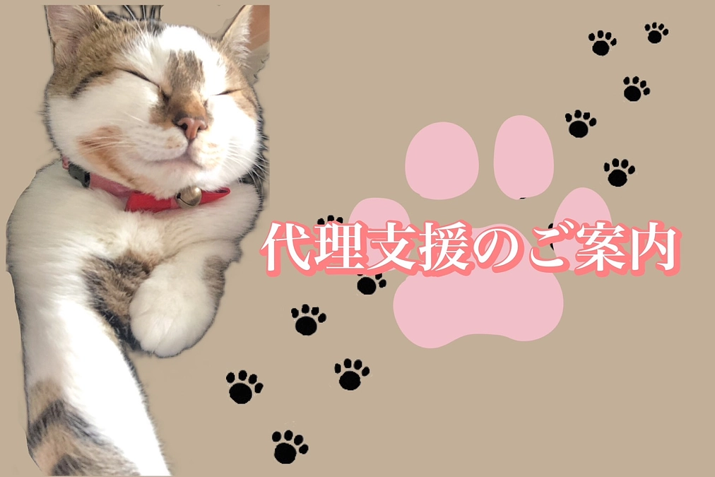 代理支援のご案内🙇‍♀️