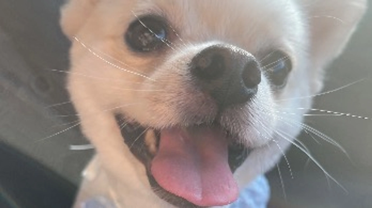 ✨✨🙇‍♀️達成しました🙇‍♀️✨✨