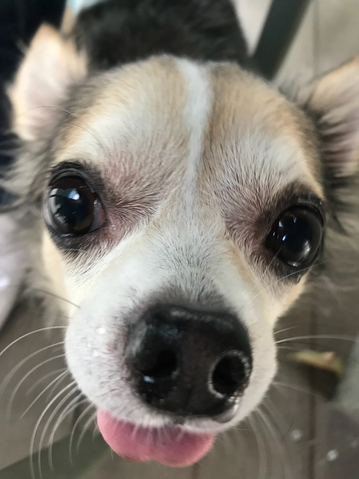 インスタライブ参加させていただきました！