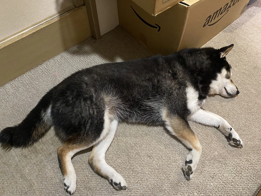 血液検査の結果が回復傾向に