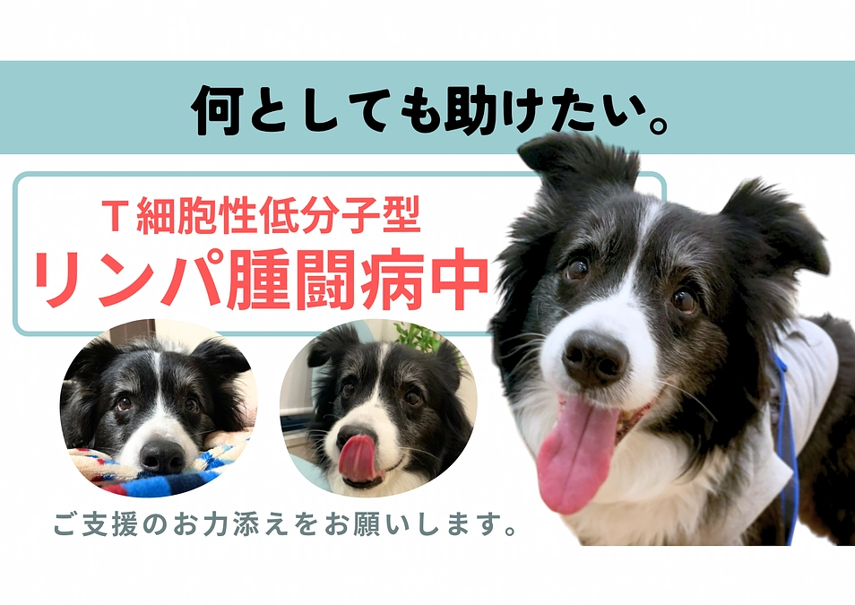 ご協力のお願いです。