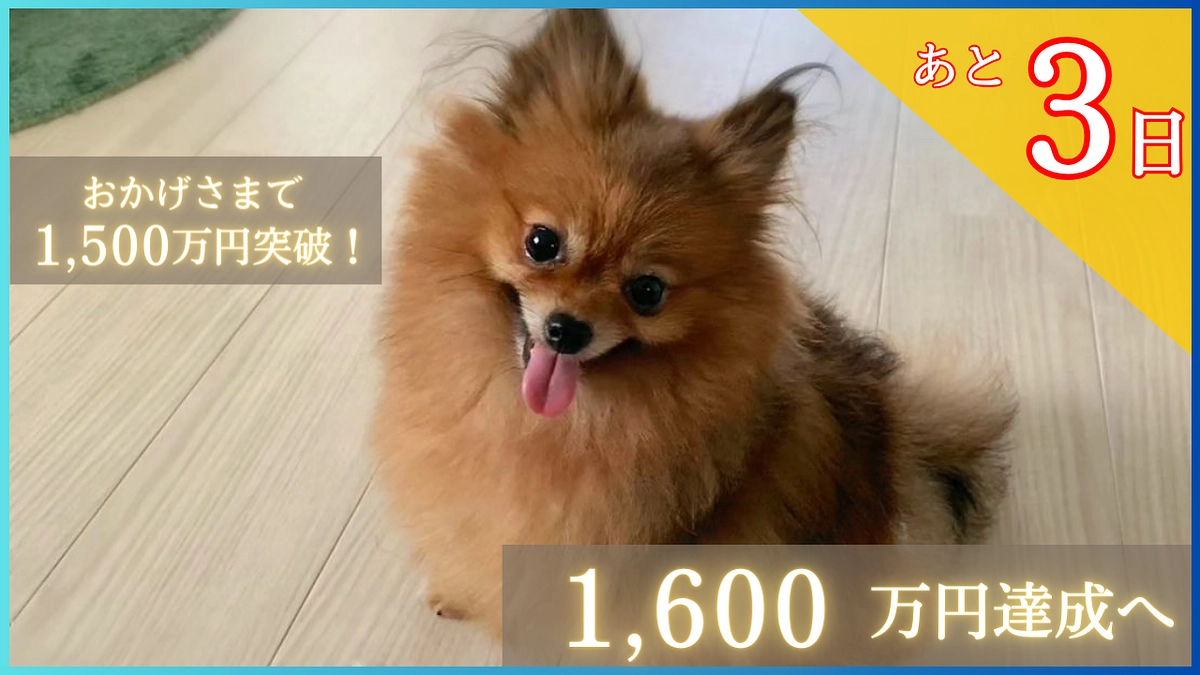 【1500万円突破！あと60万円！】！ラストスパートです！
