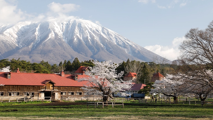 農業近代化の歴史を伝える重要文化財|小岩井農場の建築遺産を未来へ 3枚目