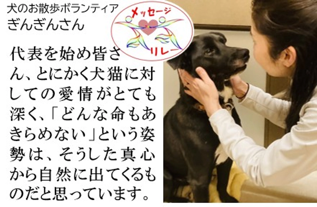 リレー１５．途方に暮れている時に青い鳥と出逢い、神様かと思いました。