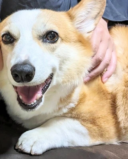 とうとう最終日！応援ありがとうございます！