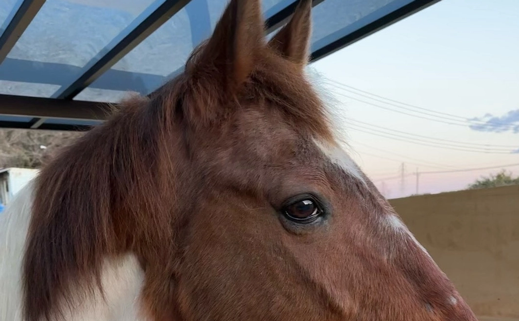 お掃除もお手入れもがっちりコース