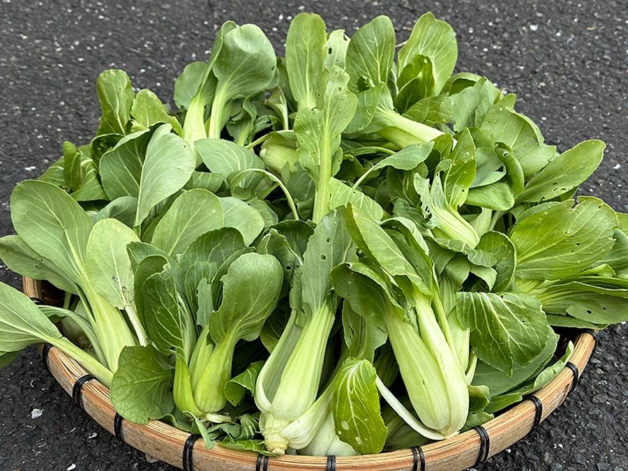 【残りあと5日！】通販部の出荷作業