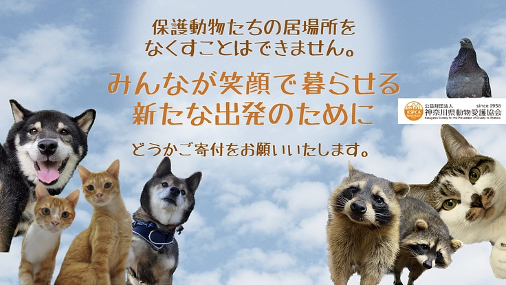 神奈川県の要請で窮地！動物保護施設と動物病院建設費のご寄付を！