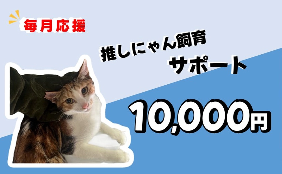 推しにゃん飼育サポート