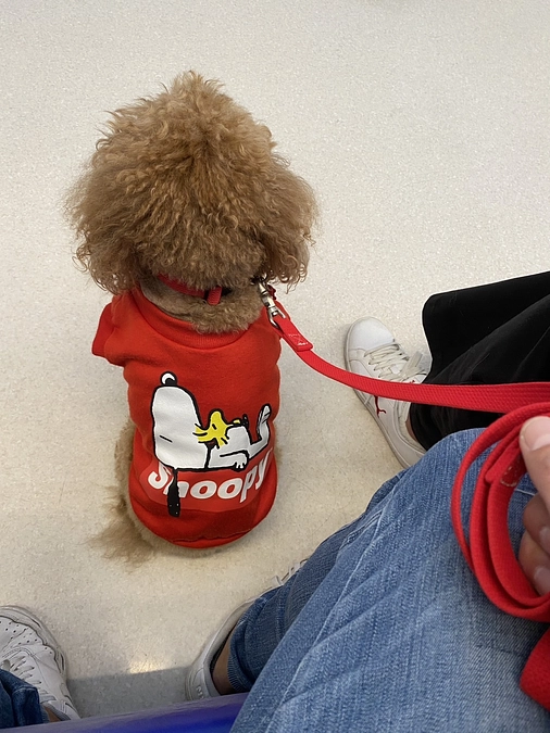 咳込みが再発してしまいました…