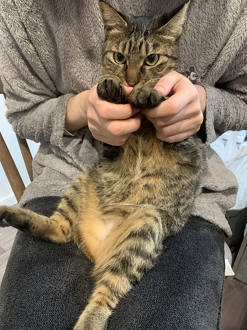 11日目＊プロジェクト達成5日目