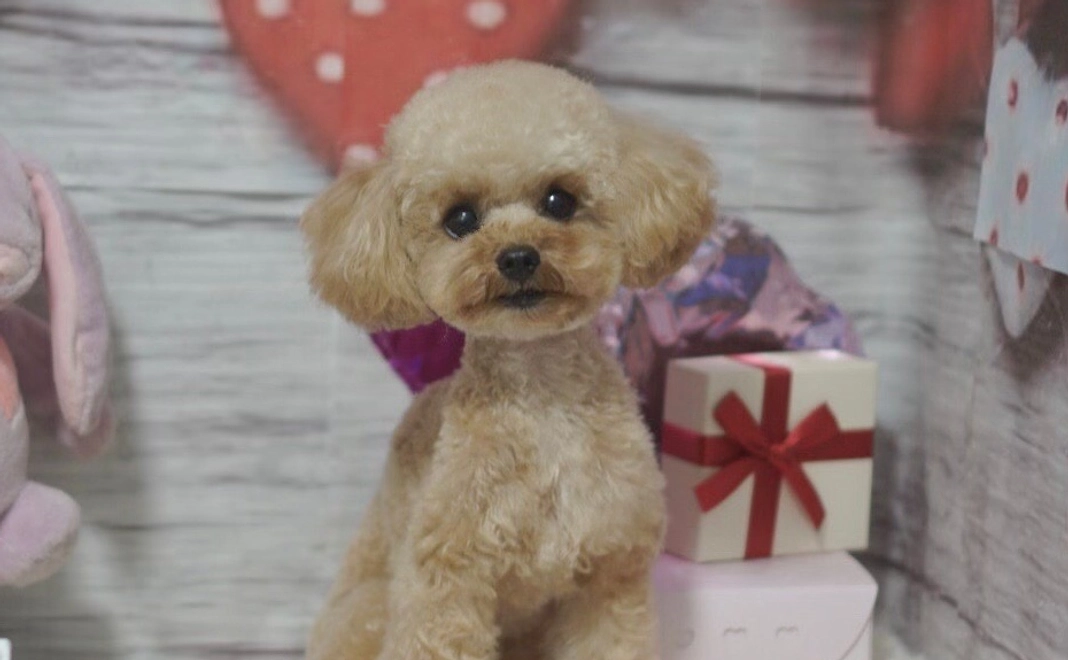 感謝のメールと経過報告をさせていただきます。1