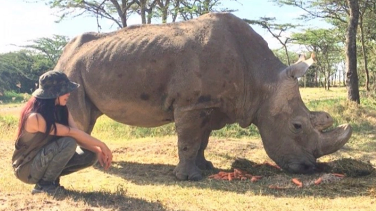 ケニアから配信！絶滅迫る動物たちの為のチャンネルを作りたい！