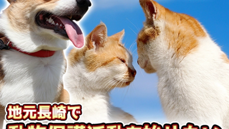 少しでも動物殺処分を減らせるように。動物保護活動を始めたい。