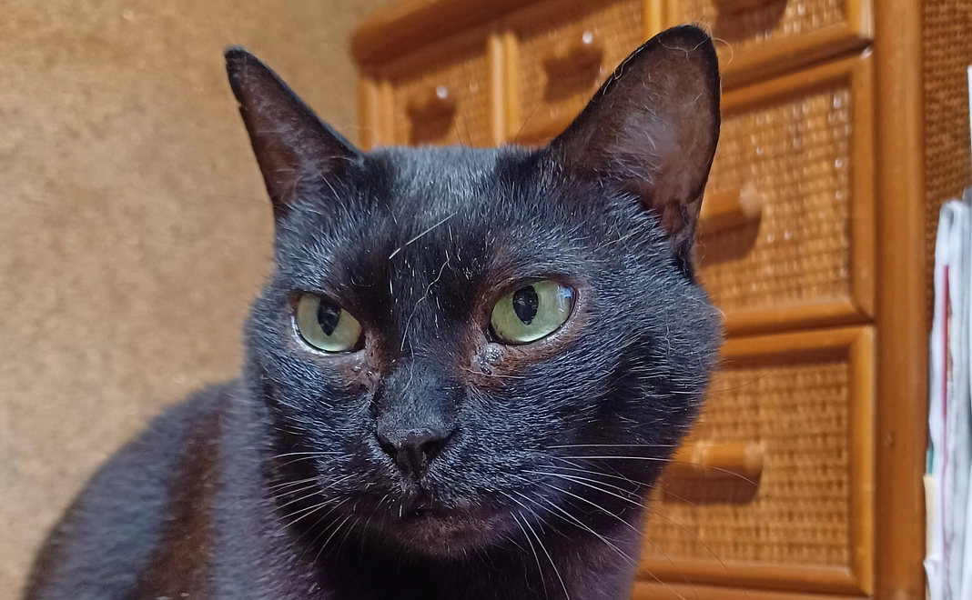 感謝のメール⑨