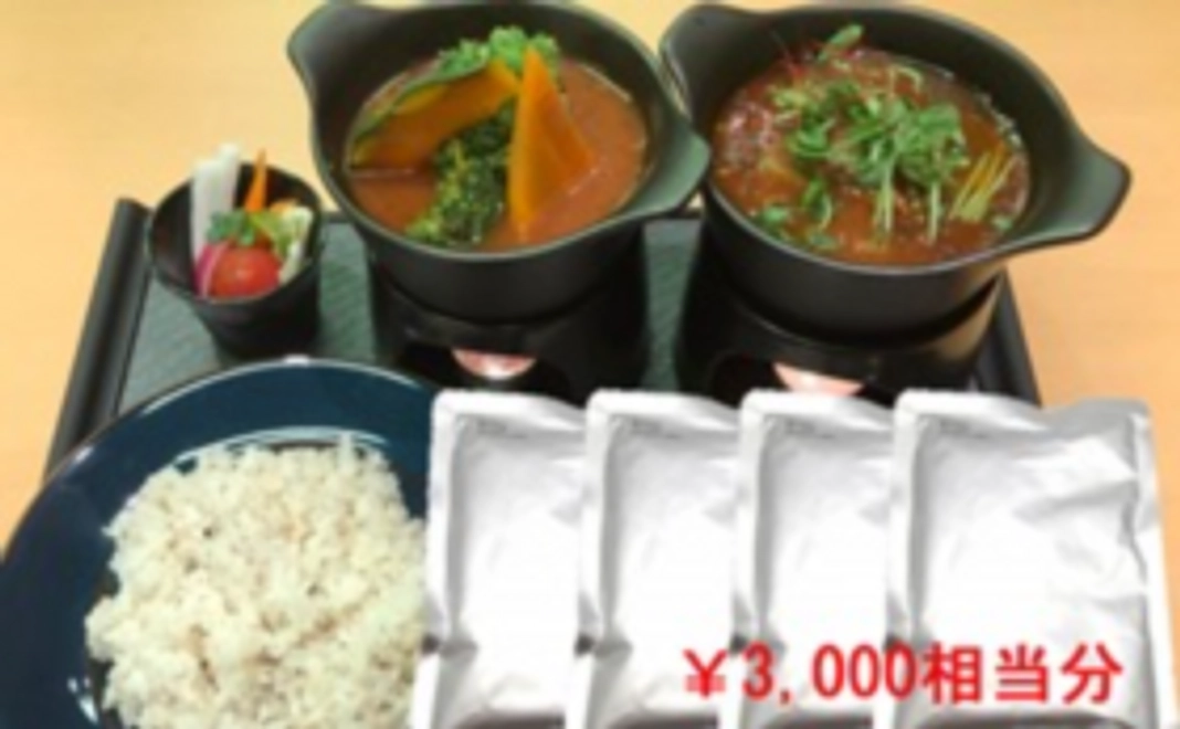 薬膳スープカレー詰め合わせ３０００