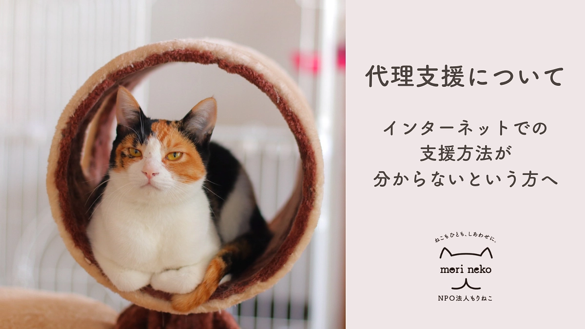 代理支援について 〜インターネットでのご支援が難しい方へ〜