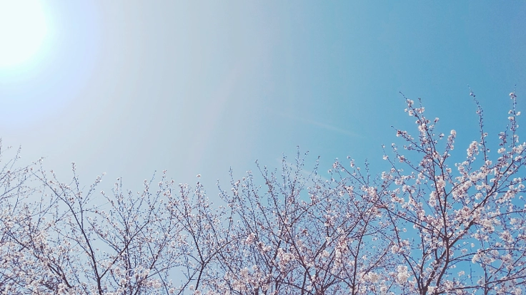 ☆あきらめないで！沢山の人が応援してます☆