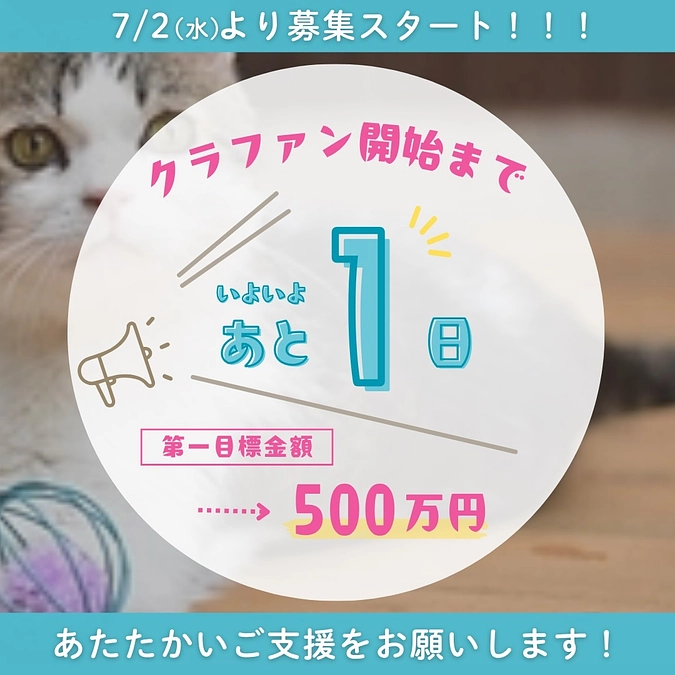 今年も応援宜しくお願い致しますm(_ _)m